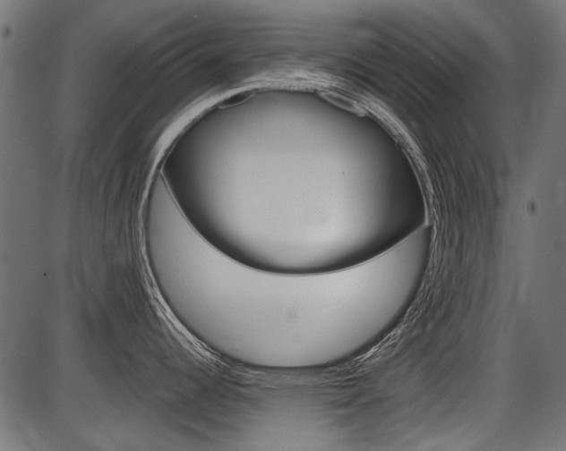 X0000086781344200704130819