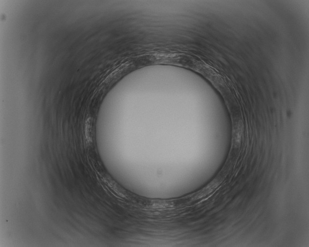 X0000086781346200704130818
