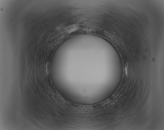 X0000086781347200704130818