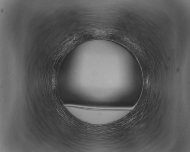 X0000086781348200704130818