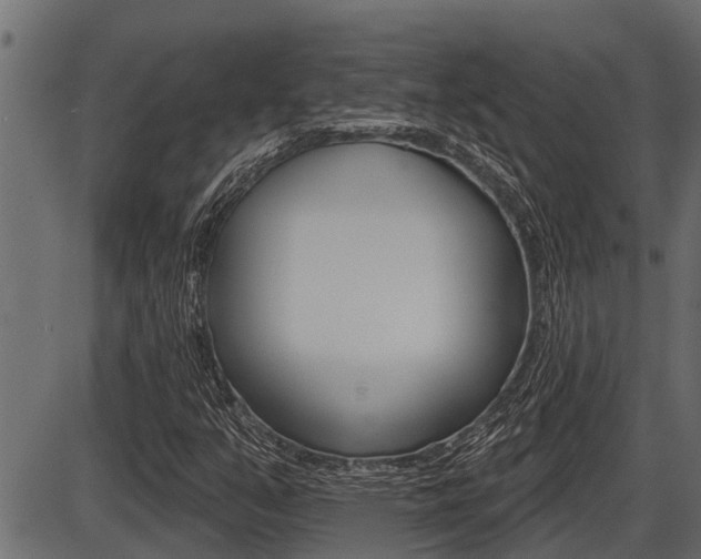 X0000086781351200704130818