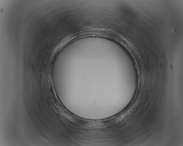 X0000086781354200704130818