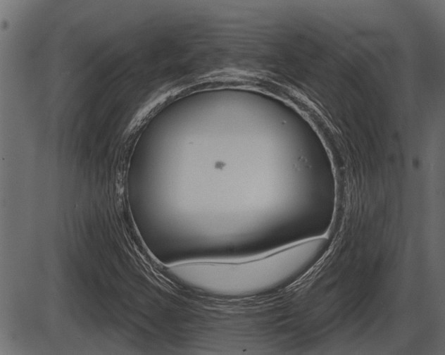 X0000086781355200704130818