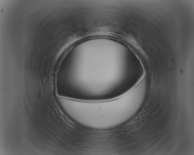 X0000086781356200704130818