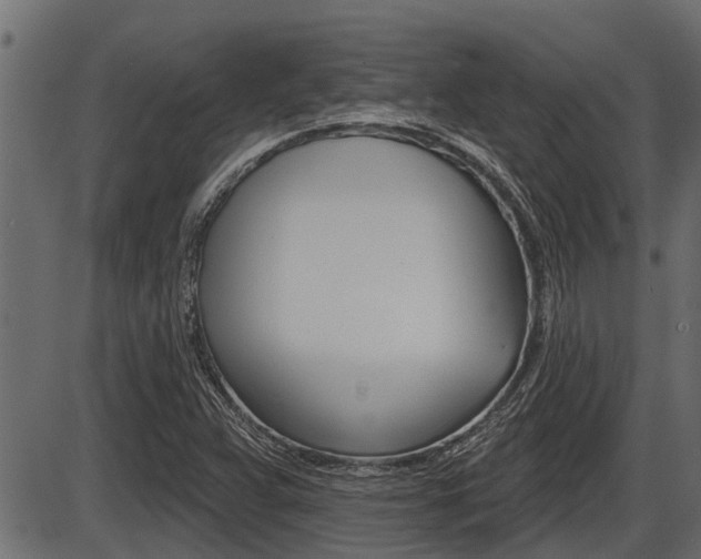 X0000086781359200704130818