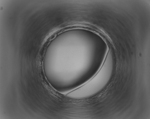 X0000086781360200704130818