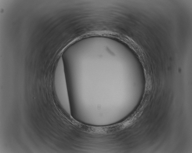 X0000086781361200704130818