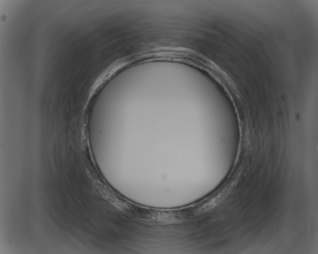X0000086781362200704130818