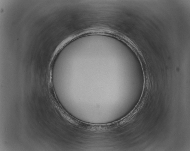 X0000086781366200704130818