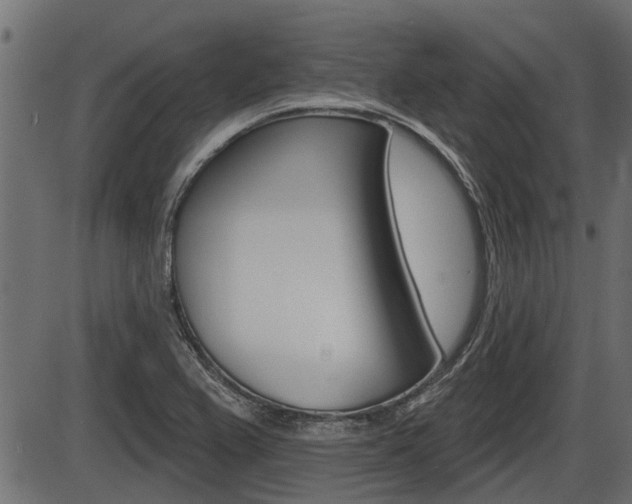X0000086781367200704130818