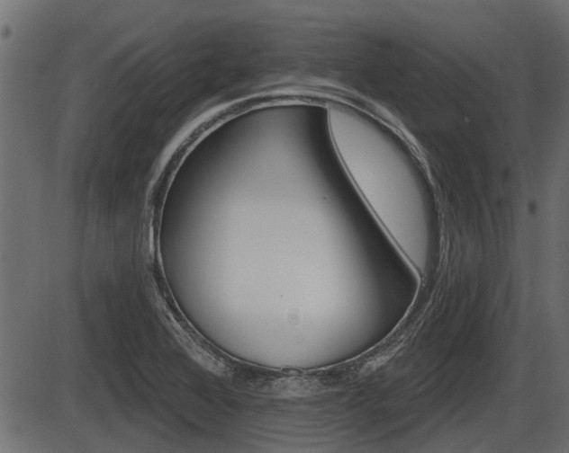 X0000086781368200704130818