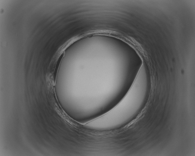 X0000086781369200704130818