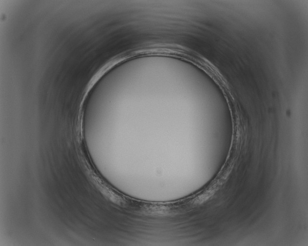 X0000086781370200704130818