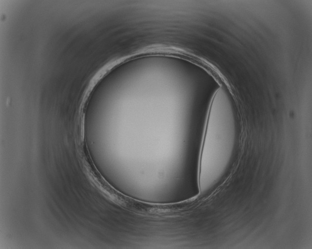 X0000086781371200704130818