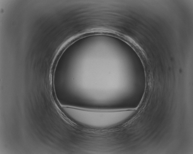 X0000086781372200704130818