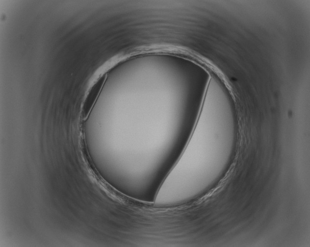 X0000086781373200704130818