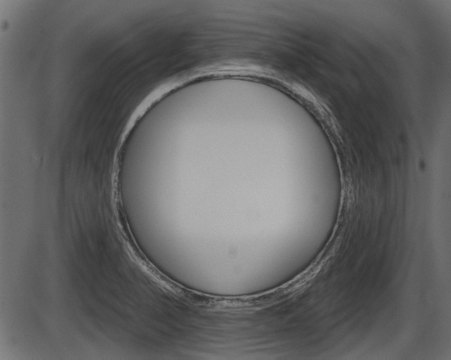 X0000086781374200704130818