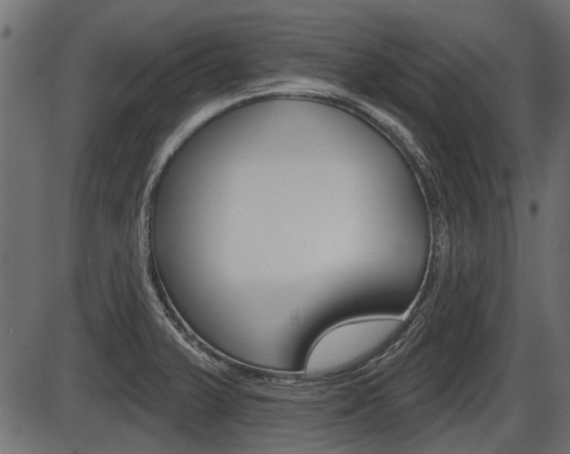 X0000086781375200704130818