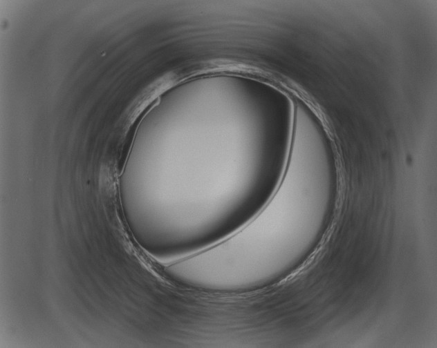 X0000086781377200704130818