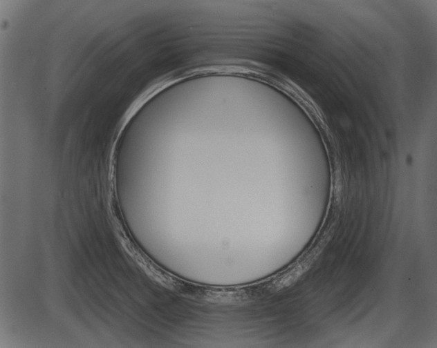 X0000086781378200704130818