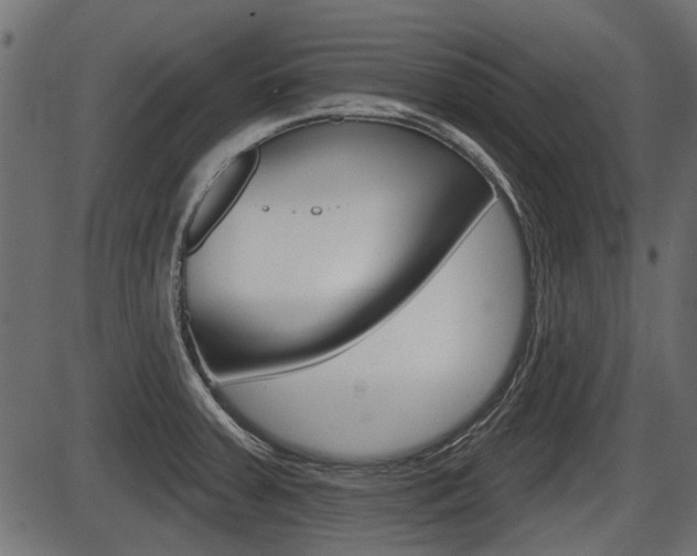 X0000086781379200704130818