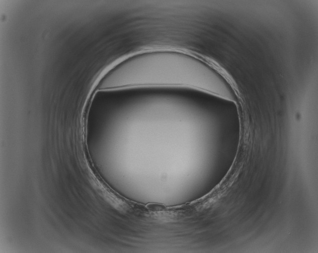 X0000086781380200704130818