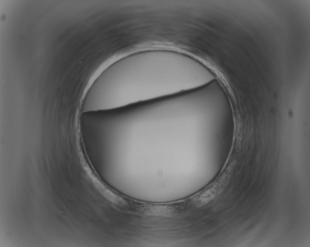 X0000086781382200704130818