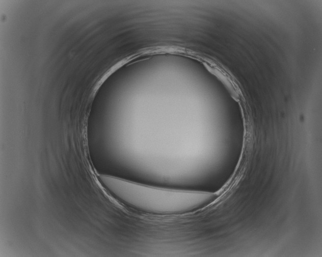 X0000086781385200704130818