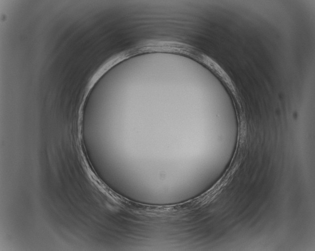 X0000086781386200704130818