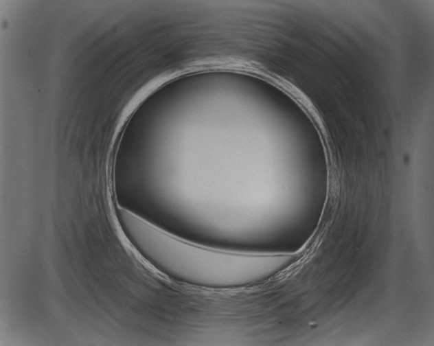 X0000086781389200704130818