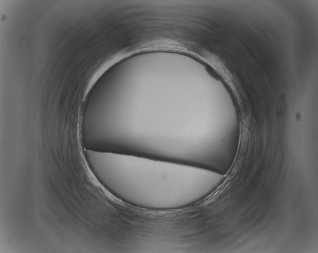 X0000086781390200704130818