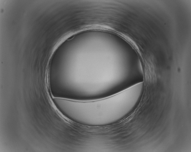 X0000086781391200704130818