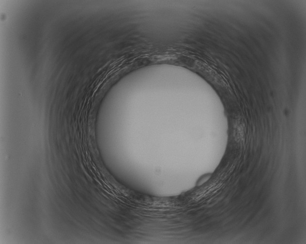 X0000086781393200704130817