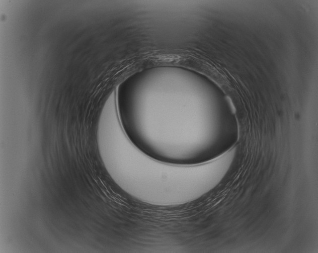 X0000086781394200704130817