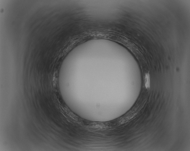 X0000086781395200704130817