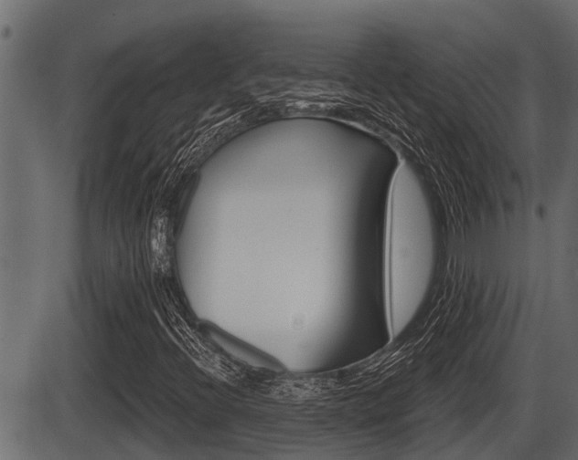 X0000086781396200704130817
