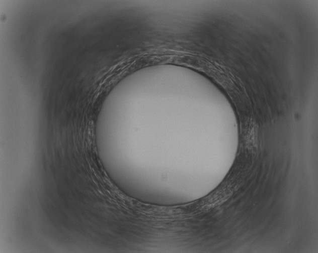 X0000086781397200704130817