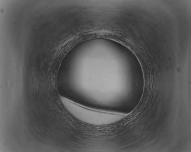 X0000086781398200704130817
