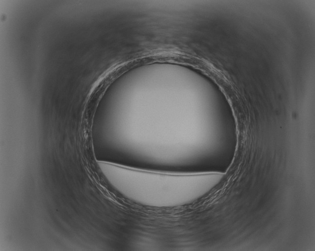 X0000086781400200704130817