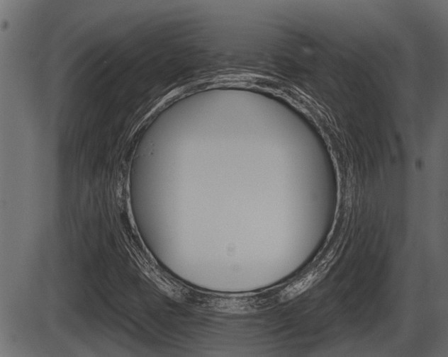 X0000086781401200704130817