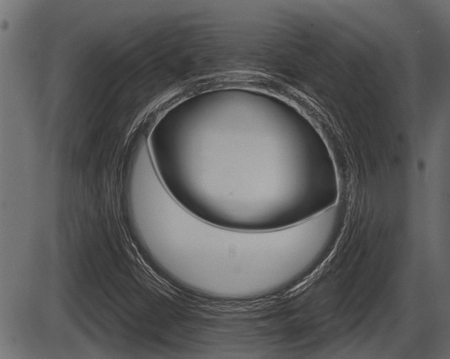 X0000086781402200704130817