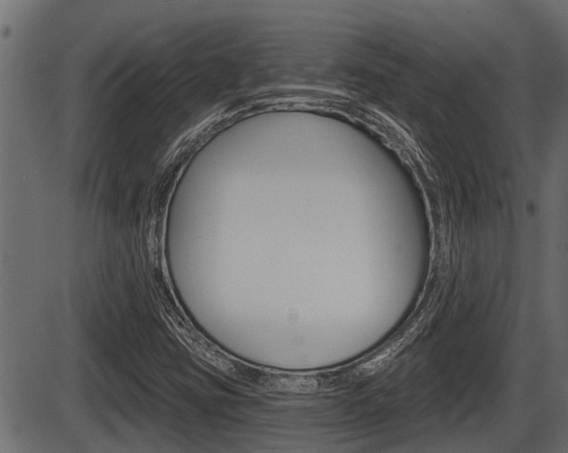 X0000086781403200704130817