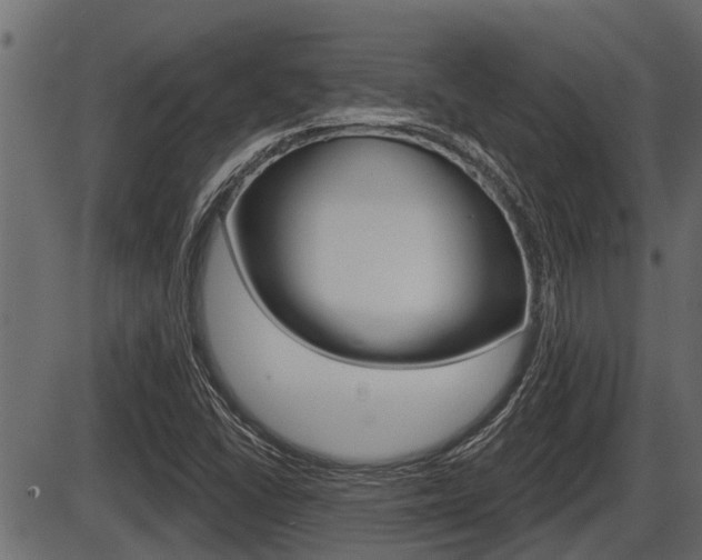 X0000086781406200704130817