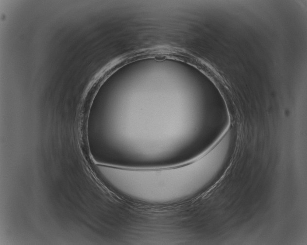 X0000086781410200704130817