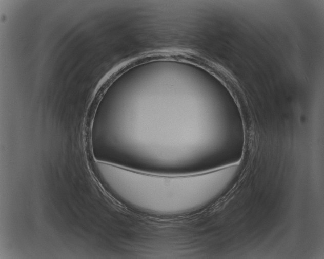 X0000086781412200704130817