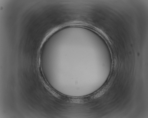 X0000086781413200704130817