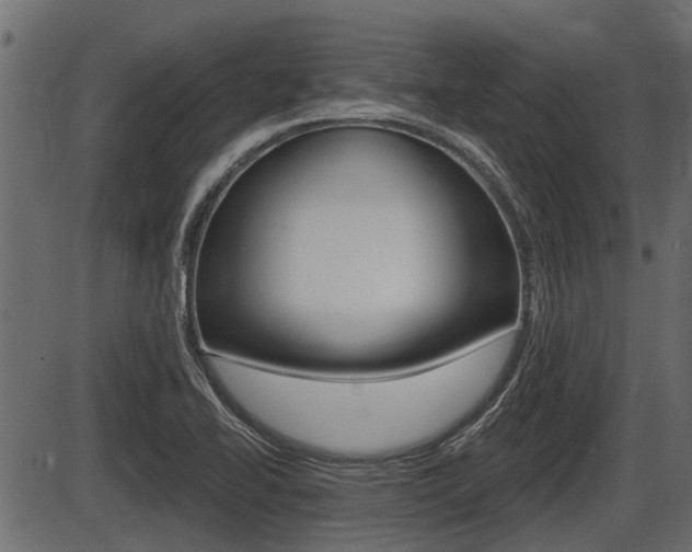 X0000086781414200704130817