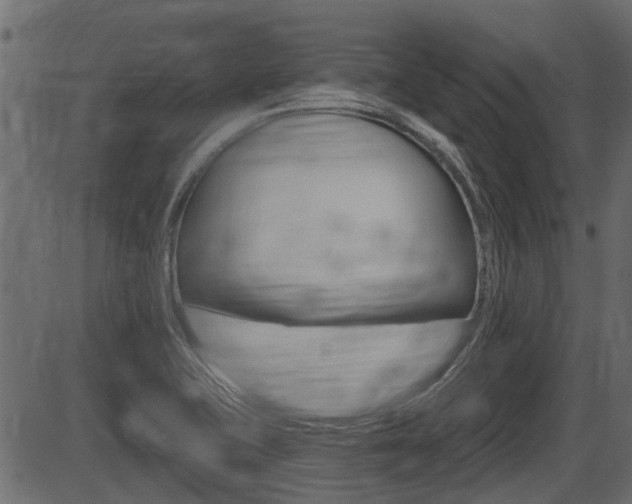 X0000086781415200704130817