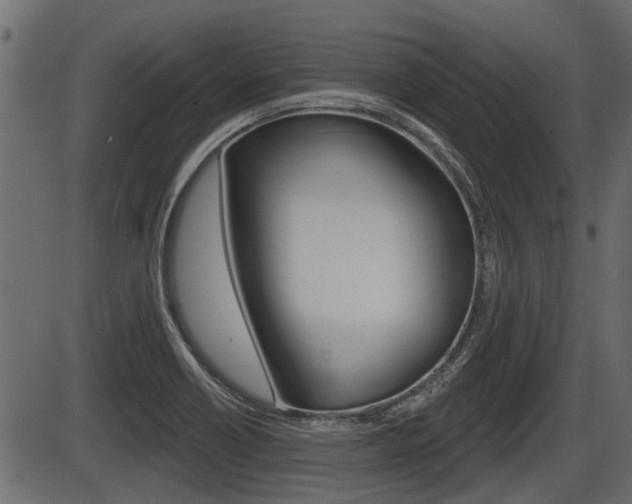 X0000086781418200704130817