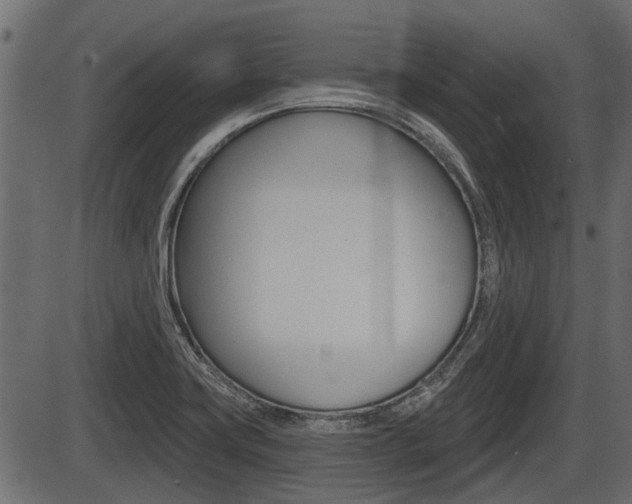 X0000086781419200704130817